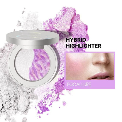 Chameleon Hybrid Highlighter#PK01 BLAST