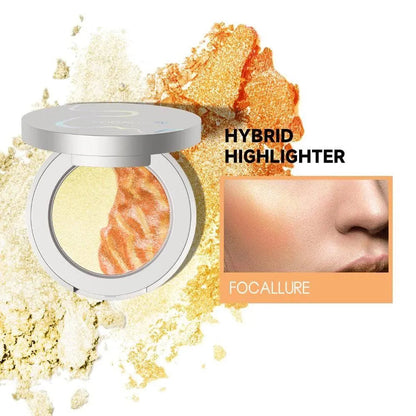 Chameleon Hybrid Highlighter#PK01 BLAST