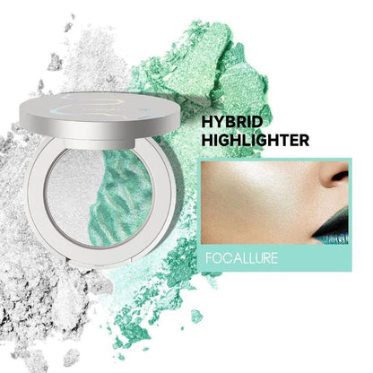 Chameleon Hybrid Highlighter#PK01 BLAST